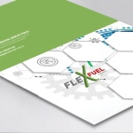 FLEXFUEL Energy Development