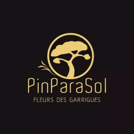 Packaging & design produit